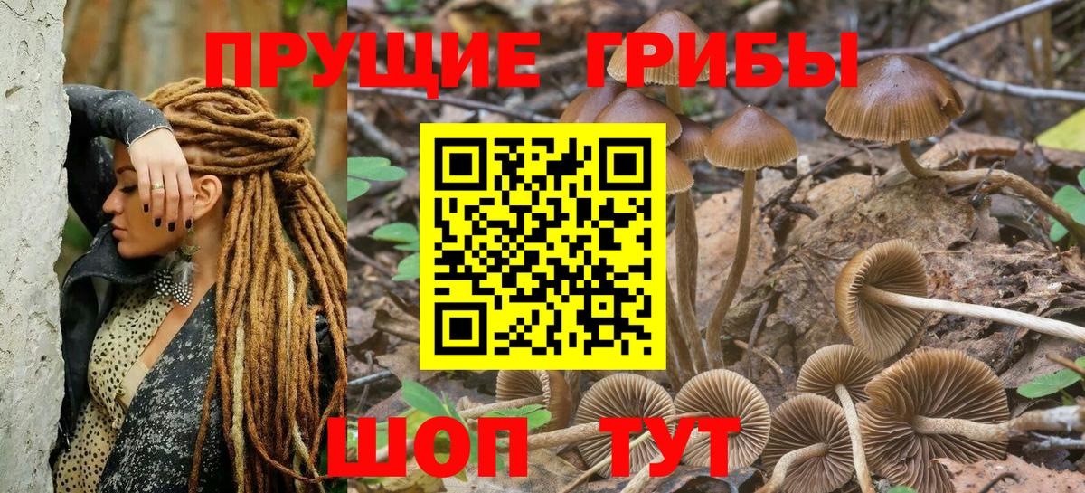Галлюциногенные грибы Magic Shrooms Серпухов